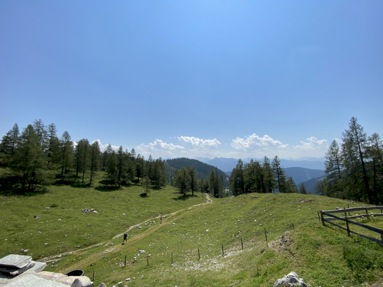 Blick ins Grüne: Landschaftsfoto beim typneun Ausflug ins Filzmoos